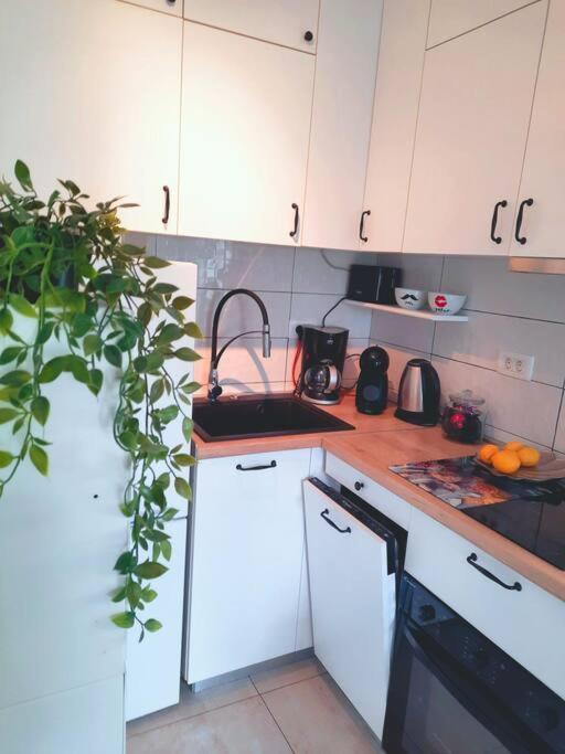 Apartman Nane ソリン エクステリア 写真