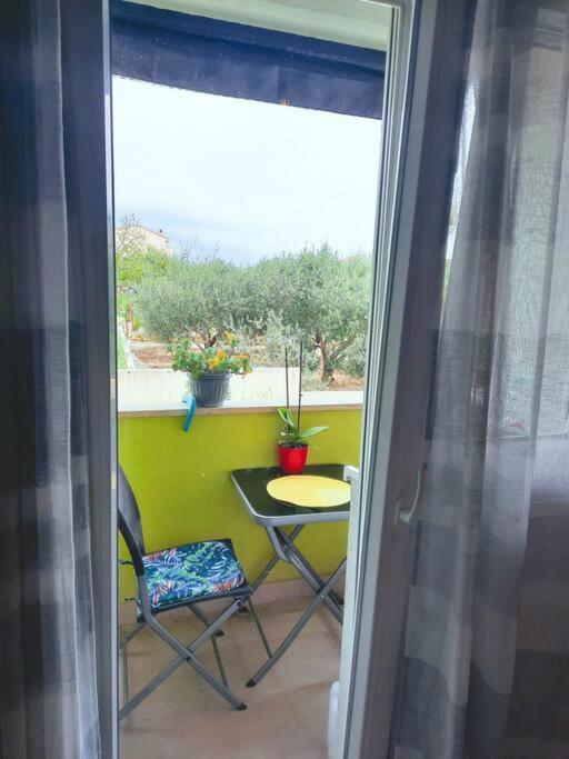 Apartman Nane ソリン エクステリア 写真